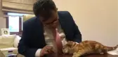 KASTAMONU - Sokak kedisi Taşköprü Belediye Başkanının makamına 