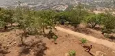 AA ekibi, Mali'deki Kovid-19 hastalarının tedavi gördüğü hastaneyi görüntüledi