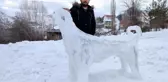 Kardan Kangal ilgi odağı oldu