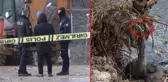 Büyükçekmece'deki kelepçeli cinayet aydınlanıyor! Bomba Baybaşin aşireti detayı