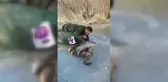 Buz altından elle balık çıkarıyor