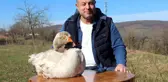 Daha önce hiç görmediğiniz papyonlu yol arkadaşı