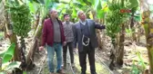 KUMLUCA'DA MUZUN FİYATI 8 LİRA