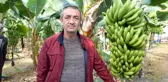 Seradan 8 TL'ye çıkan muz üreticinin yüzünü güldürüyor