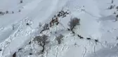 Yaban keçileri gökyüzünden görüntülendi