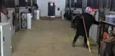 ÇOCUKLUK MERAKI MESLEĞİ OLDU