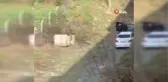 Korsan taksici çıkmaz sokağa girince yakalandı