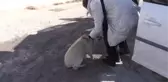 Üniversite öğrencileri 
