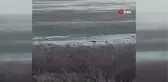Söke'de fırtına hayatı olumsuz etkiledi... Tekneler alabora oldu, tabelalar devrildi
