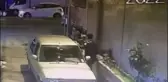 BAĞCILAR'DA 'MÜRSEL' İSİMLİ KEDİYİ BÖYLE ÇALDILAR