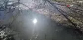 Eğirdirli elma üreticileri yağışlardan memnun