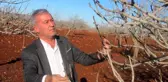 Araban Ovası suya doydu, çiftçilerin yüzü gülüyor