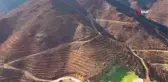 Son dakika haberi... Yangında küle dönen ormanlar için seferber oldular... Marmaris'te gönüllüler fidan ve tohum dikimlerine devam ediyor