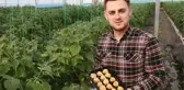 Üretici bir dönüm araziden 1,6 milyon lira kazanıyor! Altın çileğin kilosu 400 TL