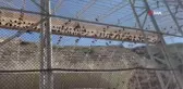 Bolluk ve bereketin sembolü kelaynaklar sevgililer gününde gökyüzüne salındı