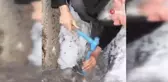 Buzlanan boruda mahsur kalan kediyi böyle kurtardı