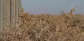 Ürdün'e BAE'den soyu tükenmekte olan 20 