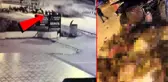 Kamera görüntüsü çok feci! Lüks cip son sürat sürüye daldı, 58 hayvan telef oldu