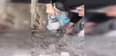 Dede ve torunu buz tutan boruya sıkışan kedi için seferber oldu