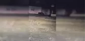 Aç kalan domuzlar yerleşim yerine indi