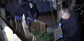 Kameraya yansıyan hırsızlık olayının şüphelisi yakalandı