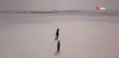 Nazik Gölü'nde eskimo usulü balık avı böyle görüntülendi