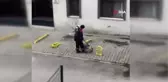 Kedi ve temizlik görevlisinin iç ısıtan dostluğu... Kediyle omuz omuza sokakları temizliyorlar