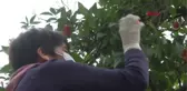 GÜÇ BİRLİĞİ YAPAN KADINLAR ÖĞRENCİ DE OKUTUYOR DÜĞÜN DE YAPIYOR