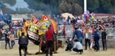 NAZİLLİ DEVE GÜREŞİ FESTİVALİ'NE BÜYÜK İLGİ