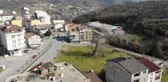 Şehrin ortasında 550 yıllık ağaç adeta zamana meydan okuyor