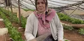Hortum 70 dekar ekili alana zarar verdi
