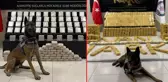 Narkotik polisinin sevimli dostları! Magnum ve Bobi, hassas burunlarıyla uyuşturucuya geçit vermiyor