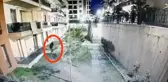 Palalı örümcek adam 5.kattan aşağıya böyle indi