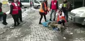 Özalp'ta sokak hayvanları için farklı noktalara mama bırakıldı