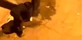 Makasla kesti, çöp kovalarını böyle çalmaya kalkıştı