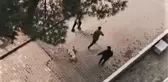 Belediye personelinden sokak köpeğine işkence