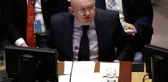 Rusya BM Temsilcisi Nebenzya: 