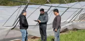 Serik'te hortum ve sağanaktan etkilenen seralarda hasar tespiti yapılıyor