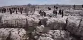 ŞANLIURFA - Halfeti'de 4. Koku Festivali gerçekleştirildi