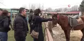 Seyahat acenteleri Kastamonu'daki at çiftliklerine hayran kaldı