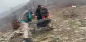 Hakkari'de Kara Akbaba, Kızıl şahin doğaya bırakıldı