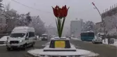 Muş'ta kar nedeniyle 47 köy yolu ulaşıma kapandı