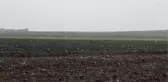 Silivri'nin yüksek kesimlerinde kar yağış başladı