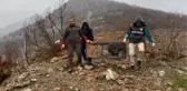TEDAVİLERİ TAMAMLANAN YABAN HAYVANLARI HAKKARİ'DE DOĞAYA SALINDI