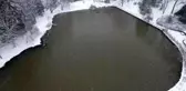 Atatürk Arboretumu'nda kartpostallık kar manzaraları