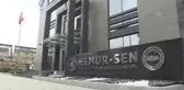Sağlık-Sen Genel Başkanı Durmuş: 