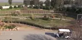 İzmir Doğal Yaşam Parkı'nda doğan 24 hayvan Antalya'ya uğurlandı