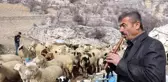 Bin 700 metre rakımdaki sürülerin kaval keyfi