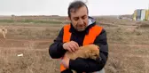 Her gün 50 kilometre yol giderek 400 köpeği besliyorlar