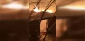 Son dakika haberleri | Beykoz'da ahırda çıkan yangında 10 hayvan telef oldu